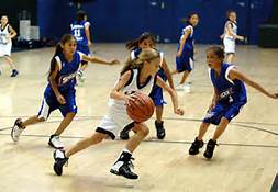 basket 